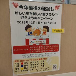 ガラポン